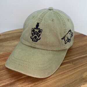 University of Arkansas Razorbacks Gramma Delta FIJI Strapback Hat Tan